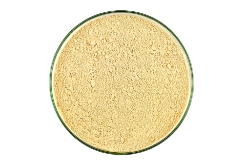 Przyprawa CZOSNEK MIELONY